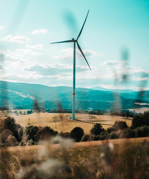 jan-kopriva-Ng8Aq7lR0p4-unsplash jan-kopriva-Ng8Aq7lR0p4-unsplash