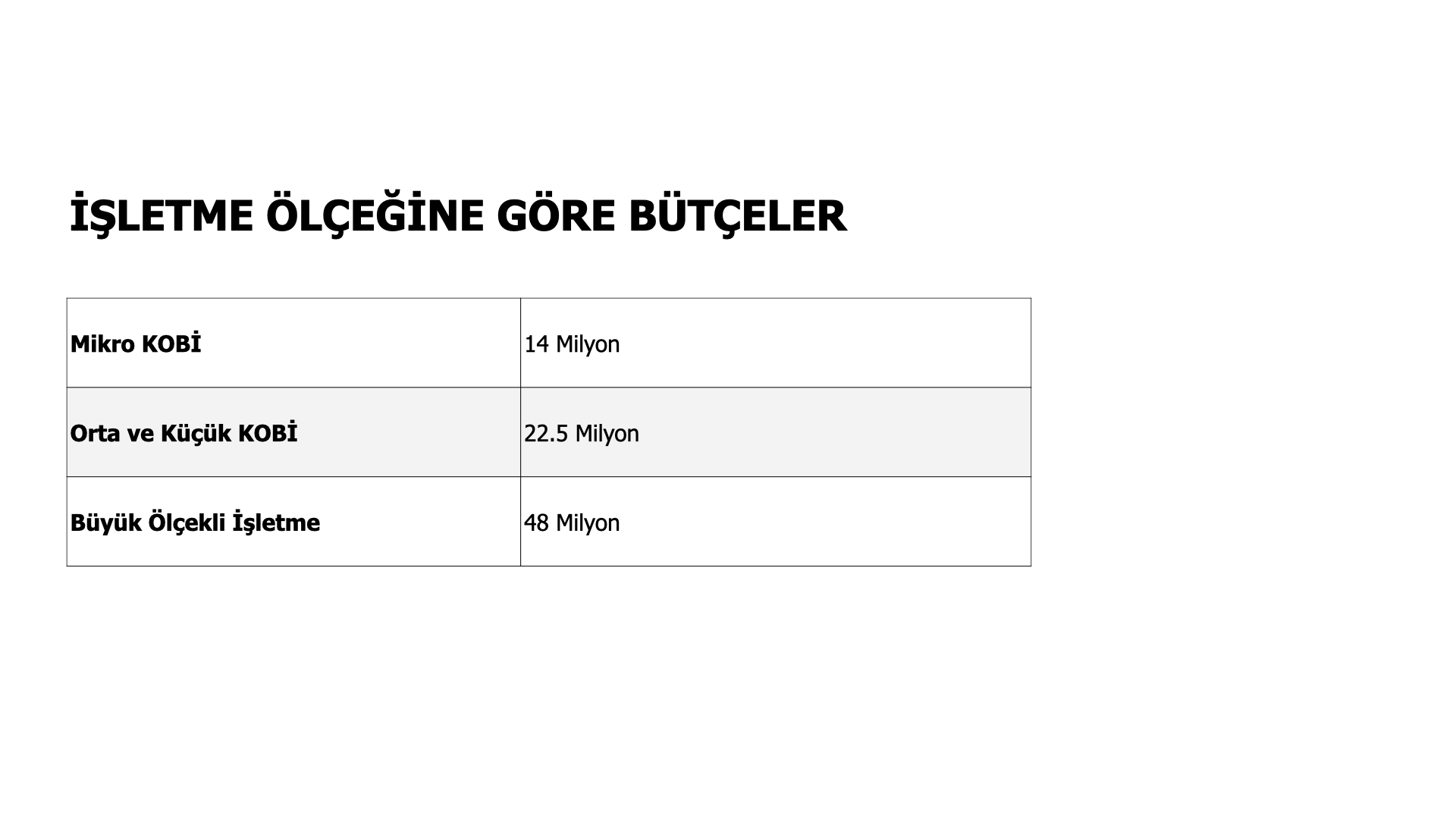 1832-İşletme Ölçeğine Göre Bütçeler.png.001